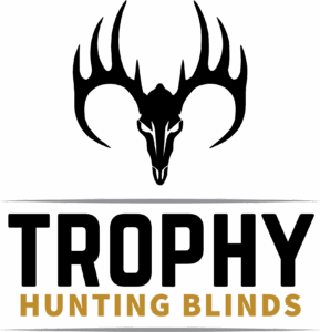 Logo (transparent background)
