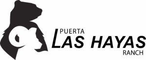 PLHR LOGO HORIZONTAL