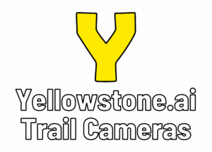 Yellowstone Trail Cameras