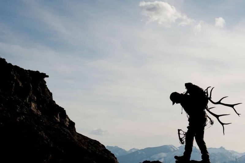 johnhafnerarchive_70568